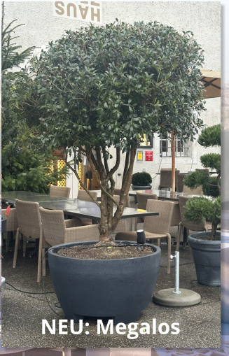 NEU: Megalos