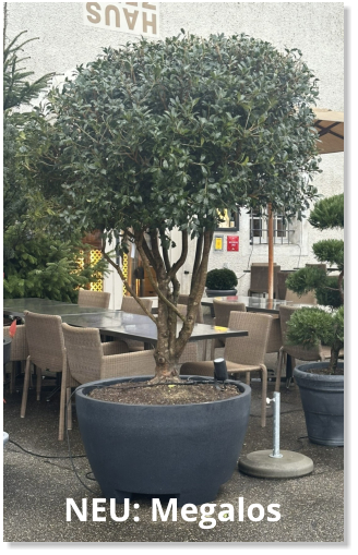 NEU: Megalos